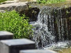 -白水寺森林公园