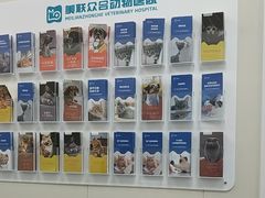 -美联众合爱康动物医院•复杂内科•肿瘤科•牙科•腔镜诊疗中心