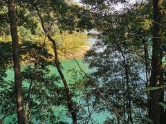 -广州市流溪河国家森林公园