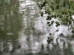 -西湖天地