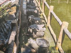 -王顺山国家森林公园