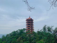 -缙云山景区