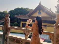 -太子山公园(园东路)