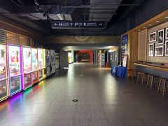 -新影联·华谊兄弟影院(望京店)