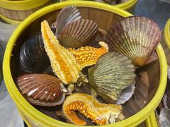 -蓝钻·国际美食海鲜自助百汇(西直门店)
