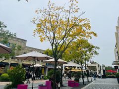 -比斯特上海购物村精品奥特莱斯