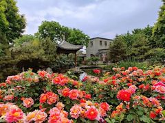 -三里河公园
