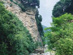 -少华山国家森林公园