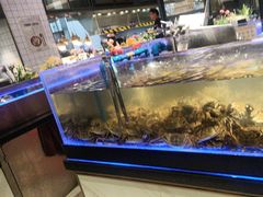 -锅儿欢海鲜火锅烤肉自助餐(东港凯虹店)