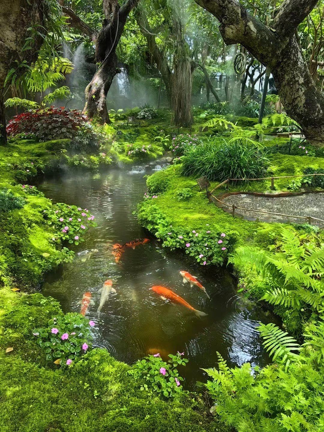泰国免签后,可以说走就走了.
清迈治愈系风景和美食
