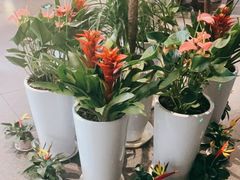 -西堤牛排(合肥之心城店)