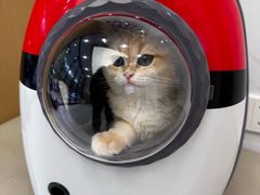 -瑞派康怡24h宠物医院·犬猫医疗中心·微创绝育(瑞景分院)