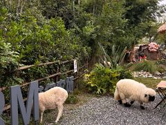 -HERRE·FARM 赫尔露营农场·团建聚会包场