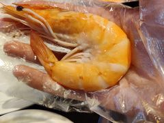 -OPEN開全日自助餐厅·西餐·海鲜(佛山希尔顿酒店)