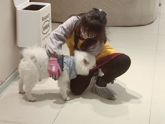 -怪兽屋·羊驼·猫咖·狗咖(俊华广场店)