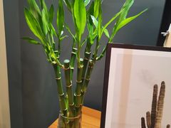 -秦美花卉(天朗·莱茵小城2期店)
