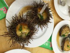 海岛渔村大酒店-海岛渔村大酒店(云霄路店)