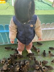 -萌宠亲子动物乐园(槐房万达店)