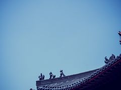 -杭州半山国家森林公园