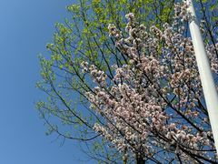 -杭州师范大学(下沙校区)