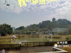 -王借岗森林公园