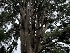 -终南山南五台景区