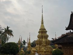 -西双版纳傣族园