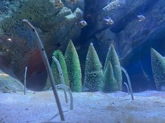 -海合安成都极地海洋公园