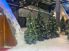 -宁波冰雪大世界(北仑区)