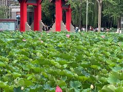 -四川大学(望江校区)