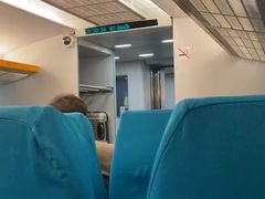 -浦东1号2号航站楼(地铁站)