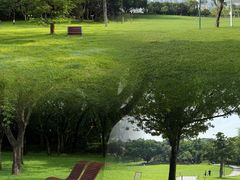 -莲花山公园
