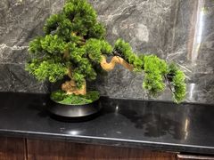 -豫满楼(郑东新区店)