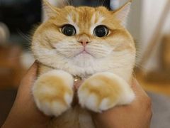 -百信宠物医院(东升街店)