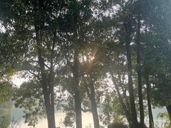 -红花湖景区