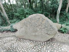 -上海佘山国家森林公园天马山园