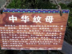 -阿依河景区