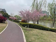-杭州植物园