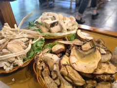 -易门野生菌府·菌海森林(月牙潭公园店)