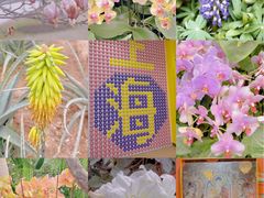 -上海辰山植物园
