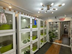 -青奢宠物·青奢猫舍