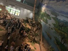 -自贡恐龙博物馆