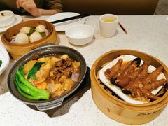 牛腩啫粉-又一间茶点轩(百汇广场店)