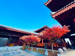 -牛首山文化旅游区