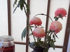 -墨宴(西洋湖店)
