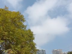 -重庆彩云湖湿地公园