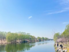 -马家湾湿地公园