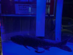 -解家河南菜(商鼎路店)