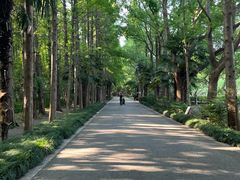 -同里国家湿地公园