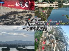 -鼎香皇高佬苏裹蒸粽